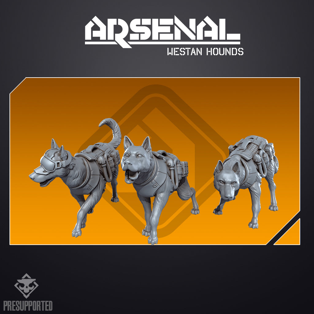 32mm Arsenal Westan Hounds