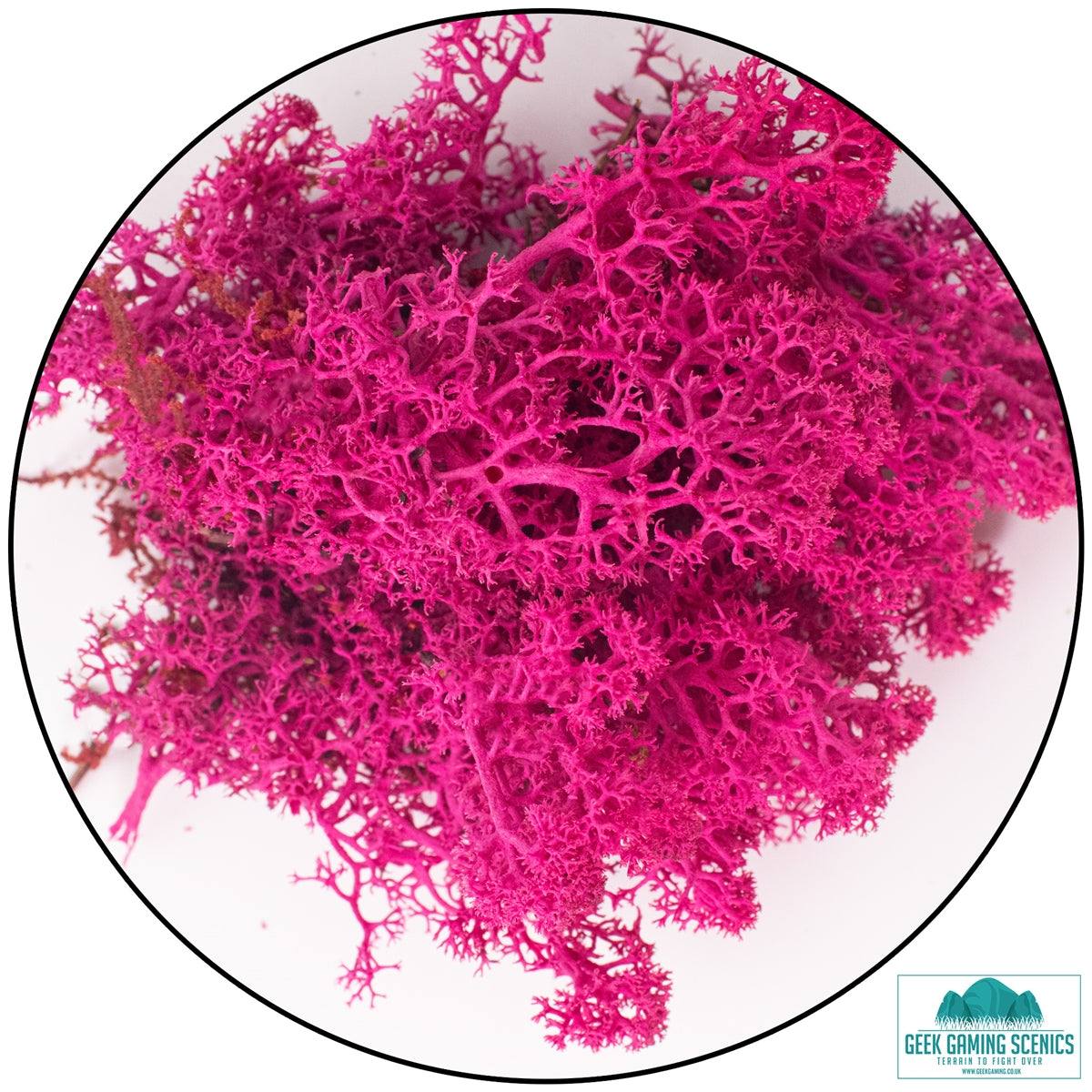 Bright pink Icelandic moss lichen for model scenery and terrain detail.