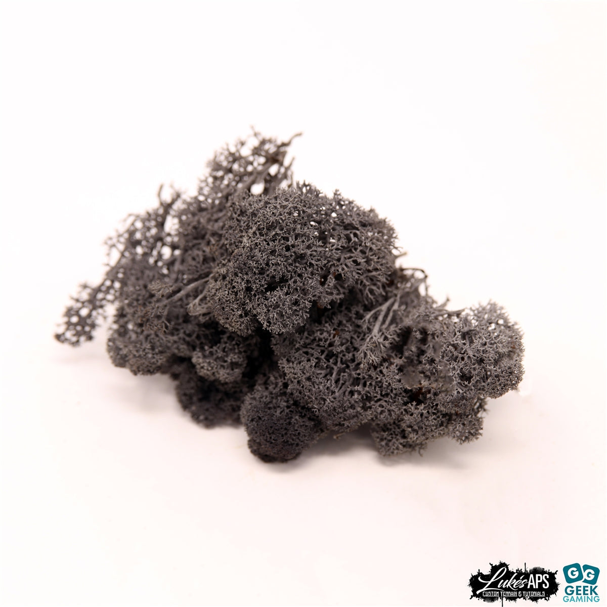 Black Icelandic Moss lichen piece for model scenery and dioramas
