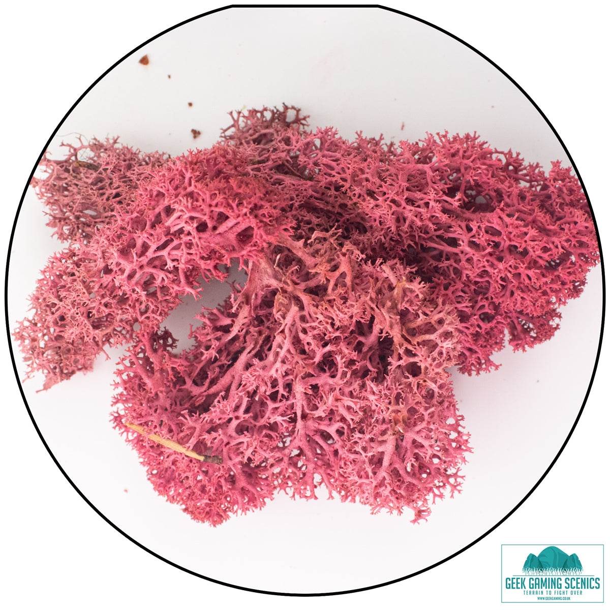 Burgundy red Icelandic reindeer moss lichen for model scenery and dioramas