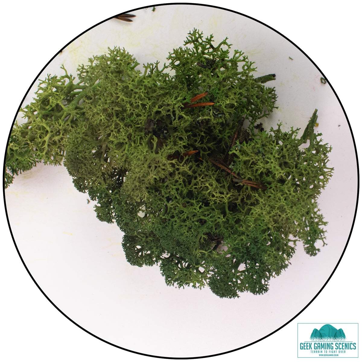 Reindeer moss Icelandic lichen in moss green for model scenery and terrain detailing