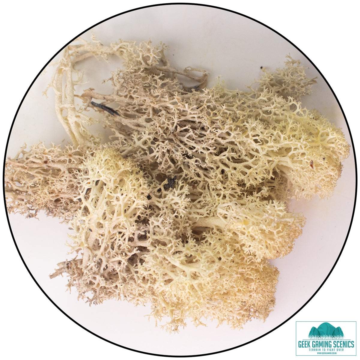 Misty white reindeer moss lichen for realistic model scenery and terrain detailing