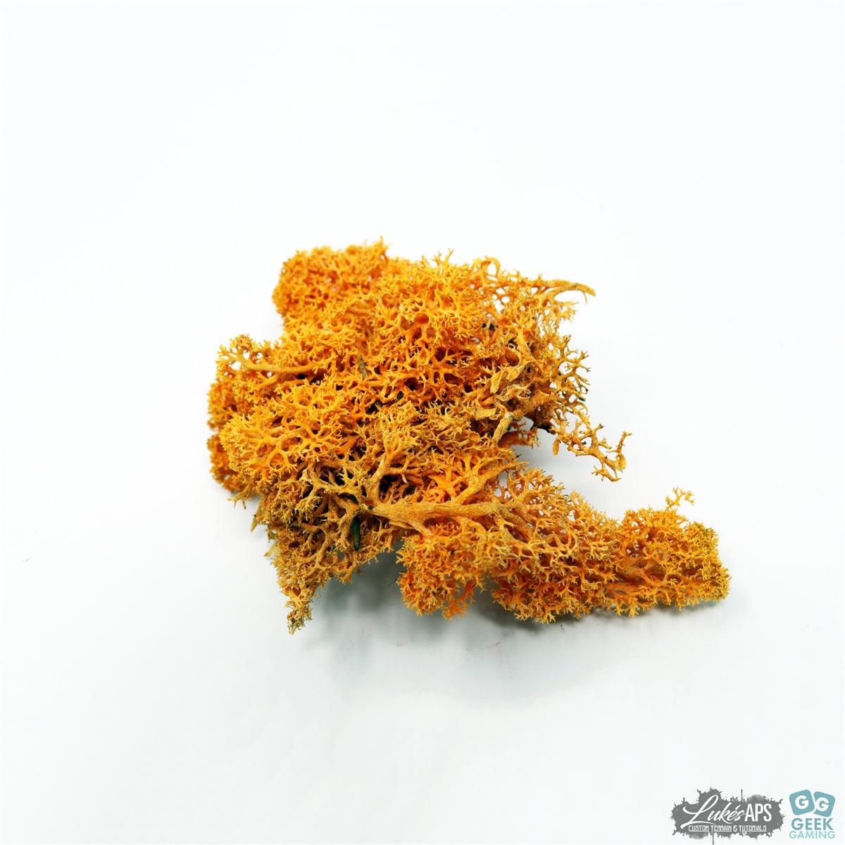 Orange Icelandic moss lichen for model scenery and terrain detailing