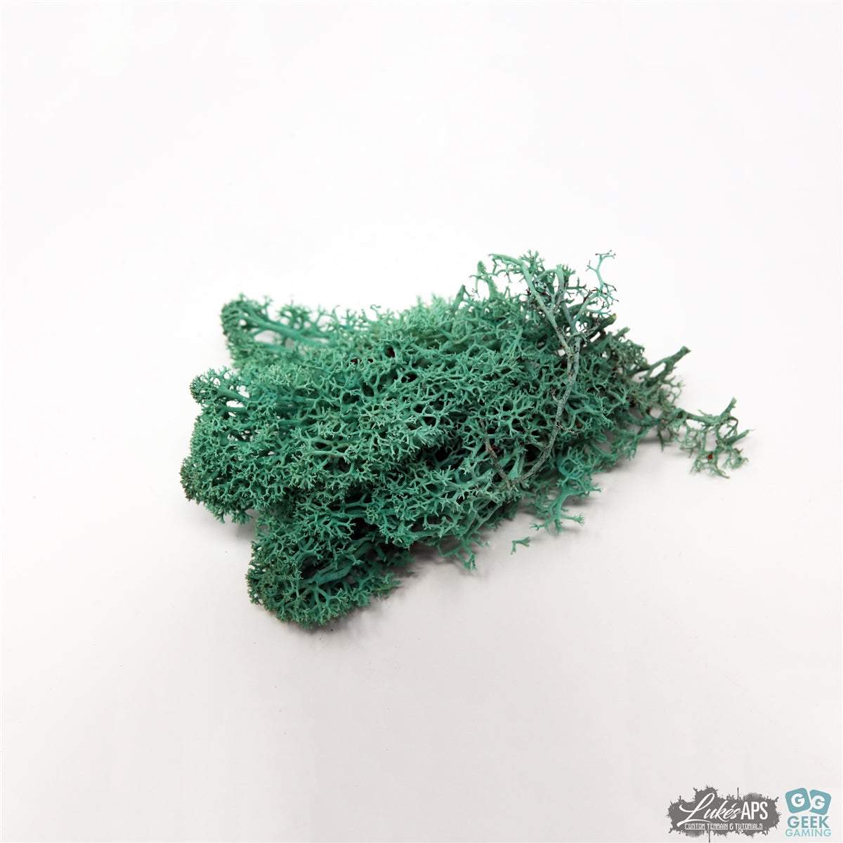 Pacific green reindeer moss lichen for model scenery and terrain detailing