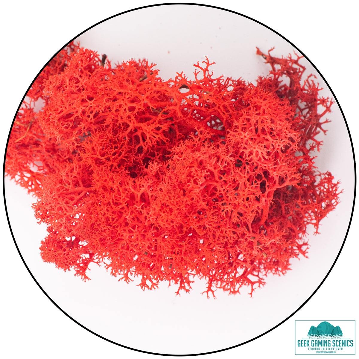Red reindeer moss lichen for model scenery and terrain detailing in 20g pack