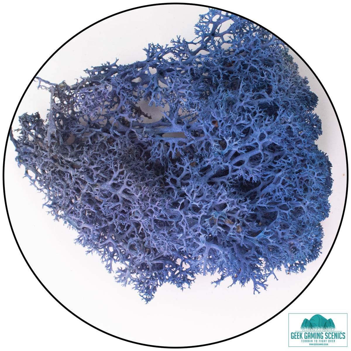 Royal blue Lichen - Reindeer Moss for model scenery and terrain detailing
