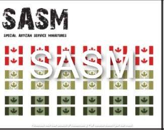 28mm Canadian Decals sheet for Special Artizan Service Miniatures featuring Canadian flags in red and green colors