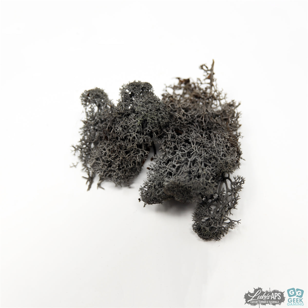 Lichen Reindeer Moss (Icelandic Moss) Anthracite Grey/Black