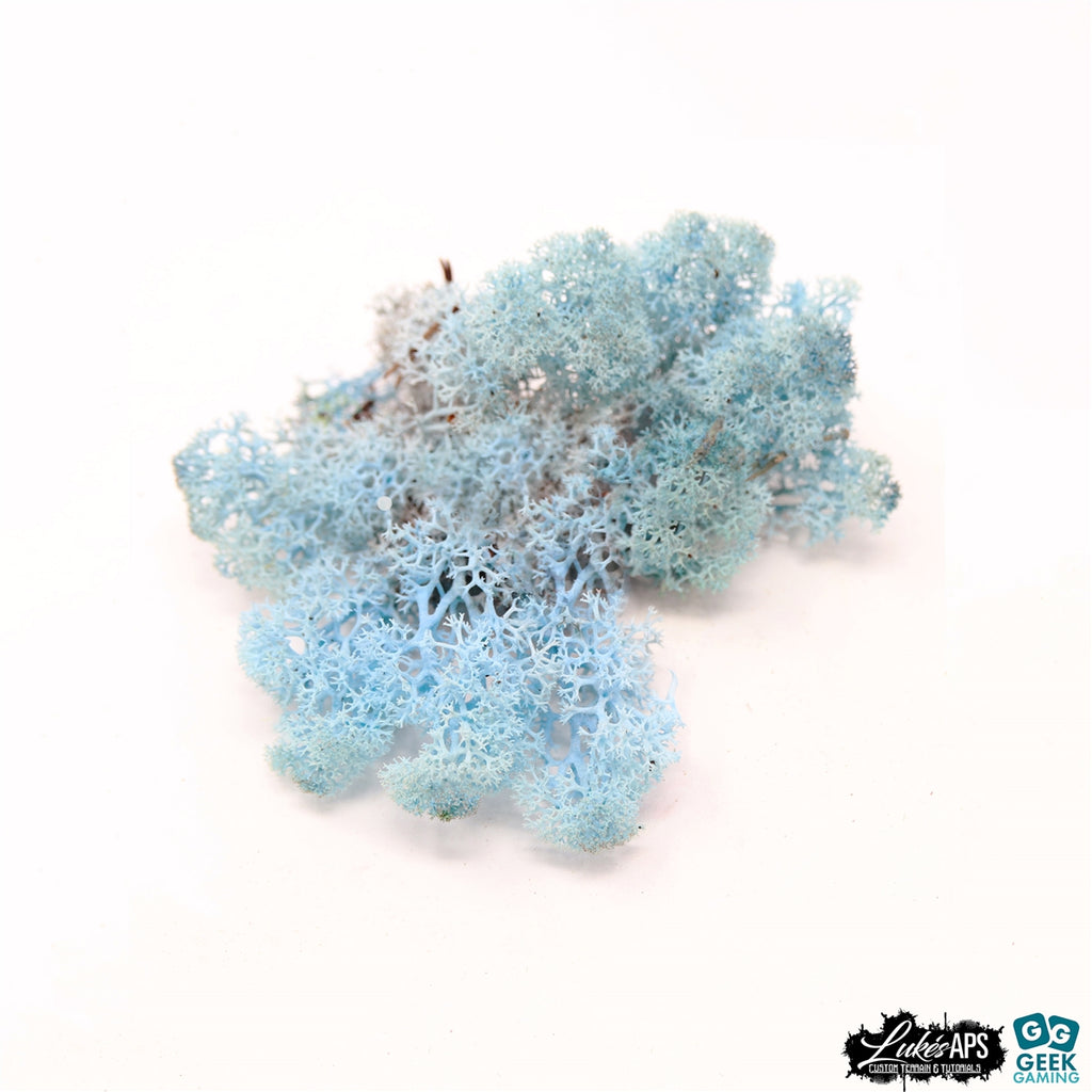 Lichen - Reindeer Moss (Icelandic Moss) Aquamarine