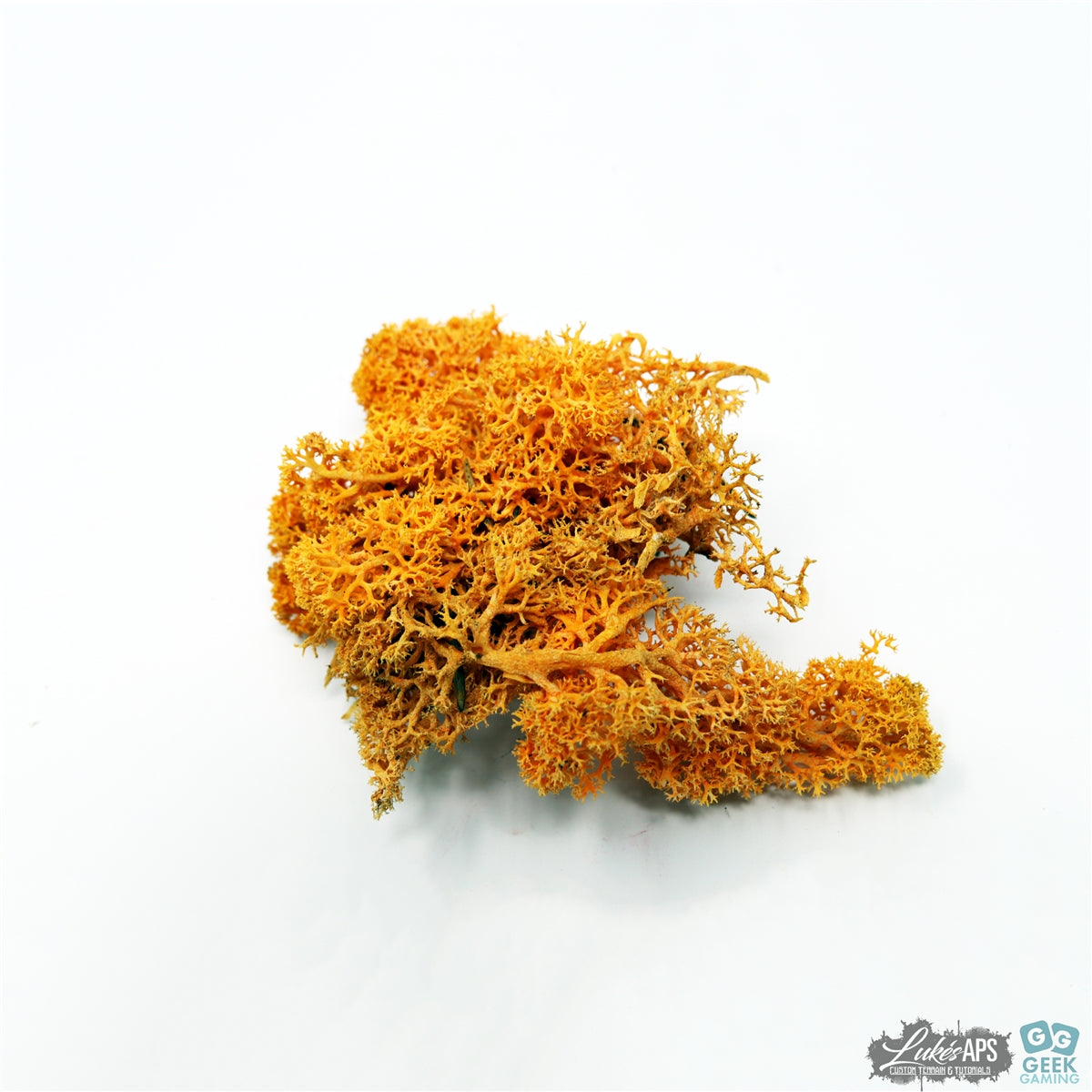 Lichen - Reindeer Moss (Icelandic Moss) Orange
